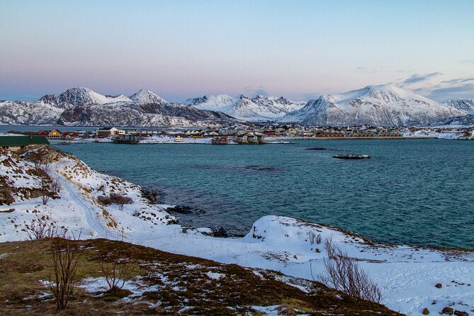 Tromsø: Fjord Adventure Tour with Wildlife and Lunch - Timing, comfort, and practical details
