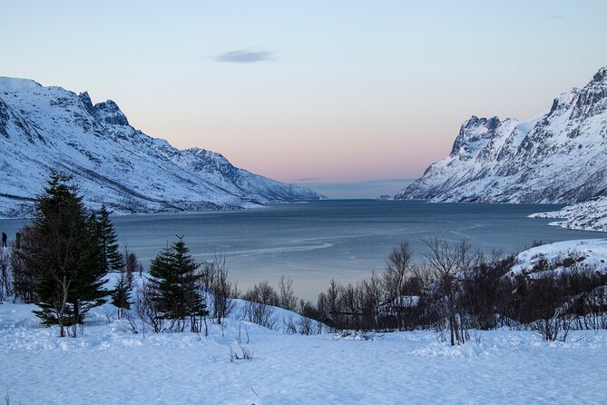 Tromsø: Fjord Adventure Tour with Wildlife and Lunch - Crossing mountains, lakes, and open country