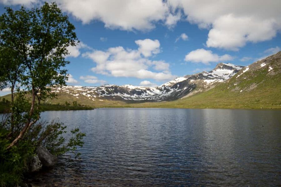 Tromsø: Fjord Adventure with Lunch and Photos - What makes this fjord trip worth your time
