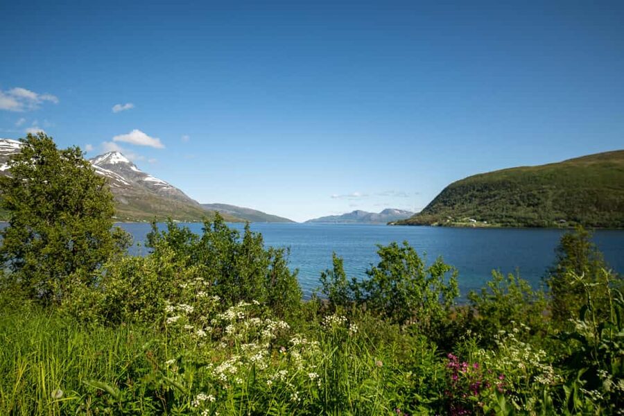 Tromsø: Fjord Adventure with Lunch and Photos - Sommarøy and Hillesøy: coast, beaches, and the lunch stop