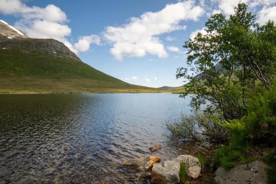 Tromsø: Fjord Adventure with Lunch and Photos - Photos are a real part of the package