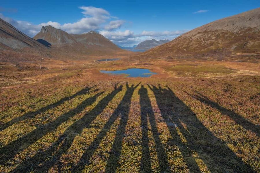 Tromso: Fjord Arctic Adventure Expedition - Wildlife along the road