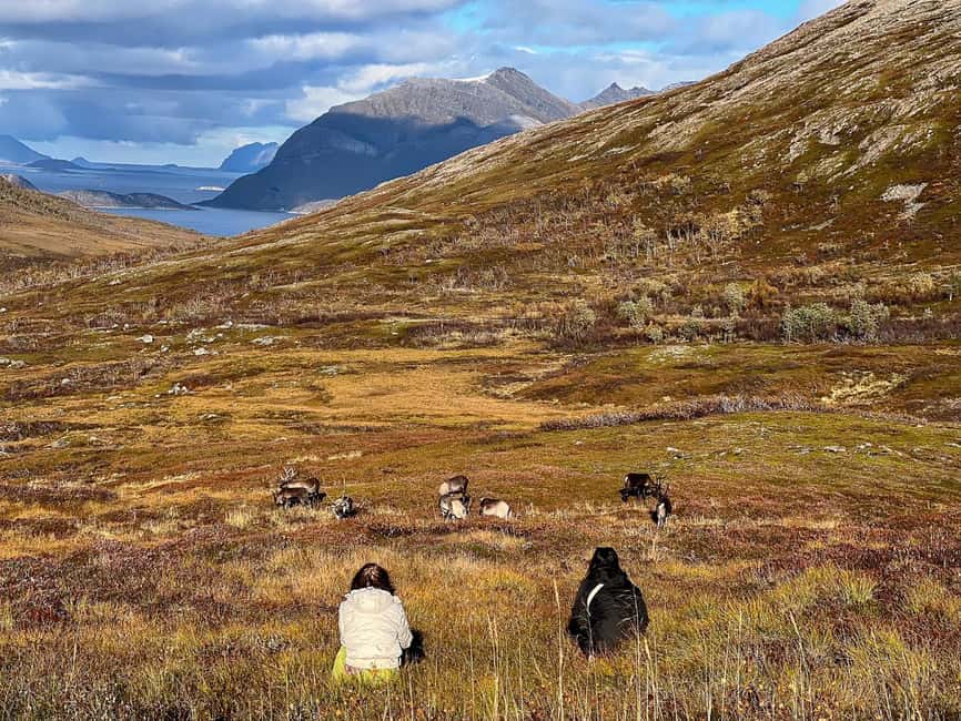 Tromso: Fjord Arctic Adventure Expedition - Why the guide matters so much