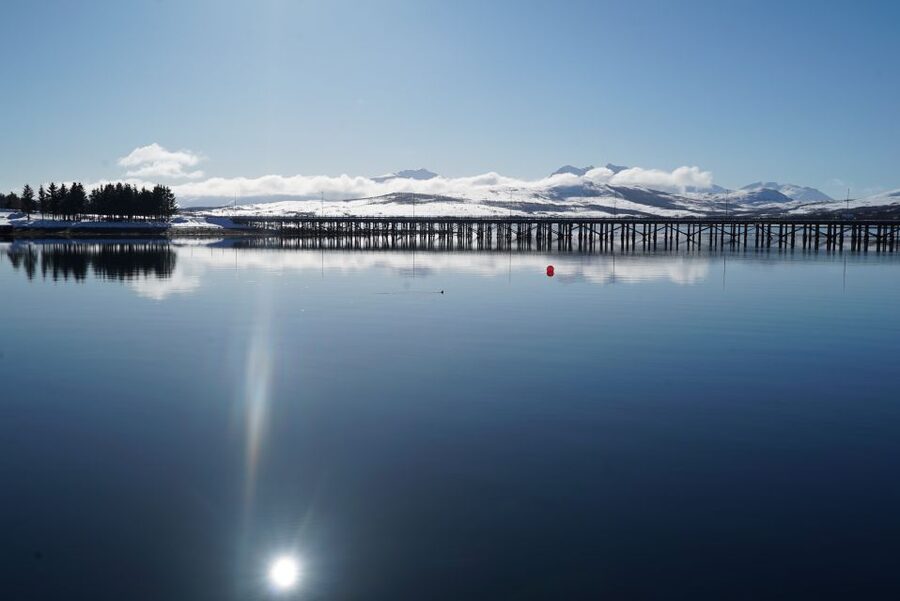 Tromsø: Fjord Cruise by Luxury Yacht - The quiet stop at Sørbotn
