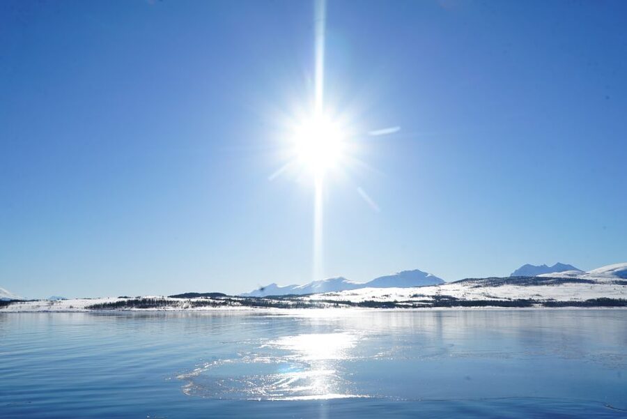 Tromsø: Fjord Cruise by Luxury Yacht - Fishing, steering, and a more personal ride