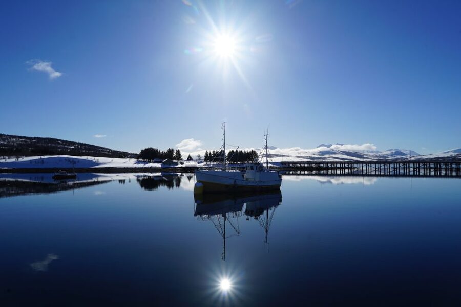 Tromsø: Fjord Cruise by Luxury Yacht - Fish soup, coffee, and the onboard comforts