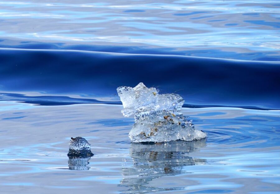 Tromsø: Fjord Cruise by Luxury Yacht - Cold weather, daylight, and the best conditions