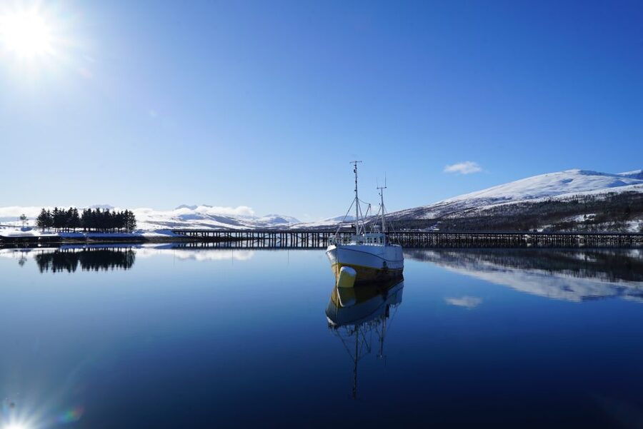 Tromsø: Fjord Cruise by Luxury Yacht - Who will enjoy the Arctic Queen most?