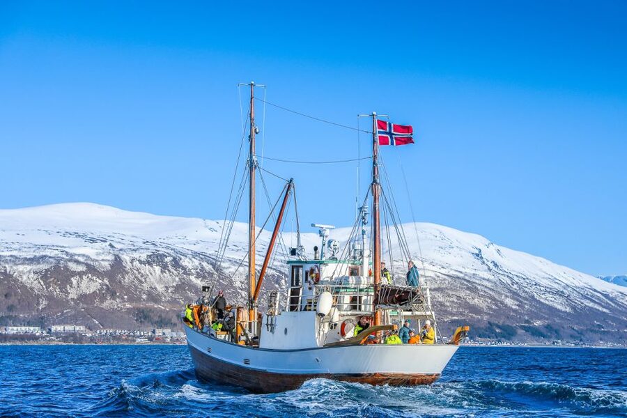Tromsø: Fjord History Cruise with Snack and Drinks - Winter clothing and the best time to go