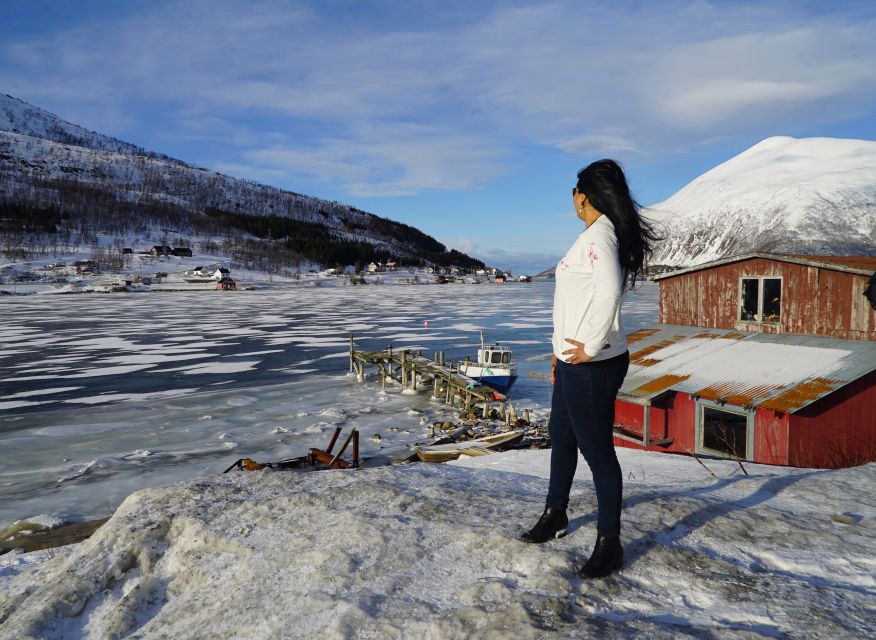 Tromsø: Fjord Sightseeing in a Tesla X Luxury Electric Car - Ersfjord and the café with a sea view