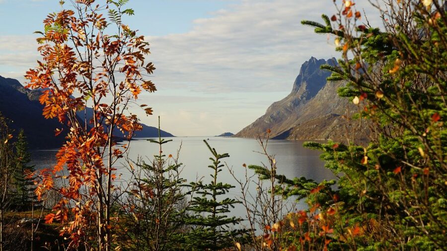 Tromsø: Fjord Sightseeing in a Tesla X Luxury Electric Car - Grøtfjord and the final stretch of scenery