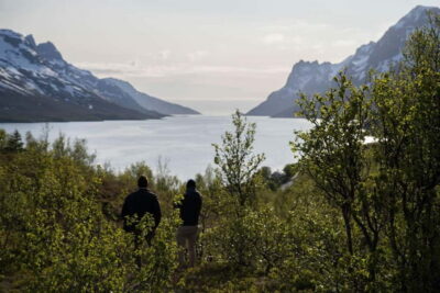 Tromsø: Fjord Tour and Visit to Sommarøy with Expert Tour Guide in Italian