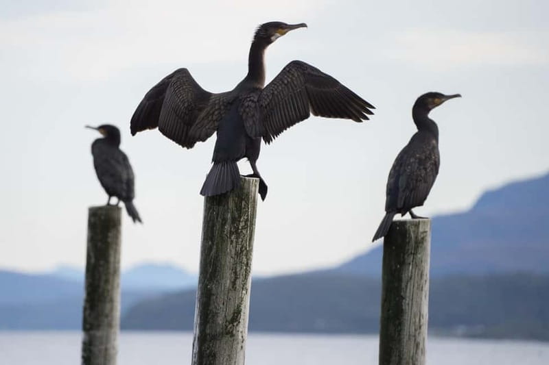 Tromsø: Fjord Tour and Visit to Sommarøy with Expert Tour Guide in Italian - Returning by a different route