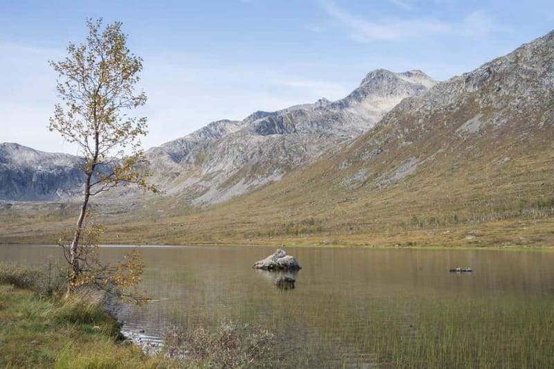 Tromsø: Fjord Tour and Visit to Sommarøy with Expert Tour Guide in Italian - Should you book the Sommarøy fjord tour?