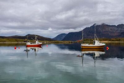 Tromsø: Fjord tour in a minibus to Sommarøy with fishsoup