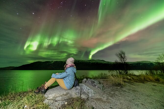 Tromsø Fjordland Aurora Chase Northern Lights by the Arctic Sea - Is $311.45 good value?