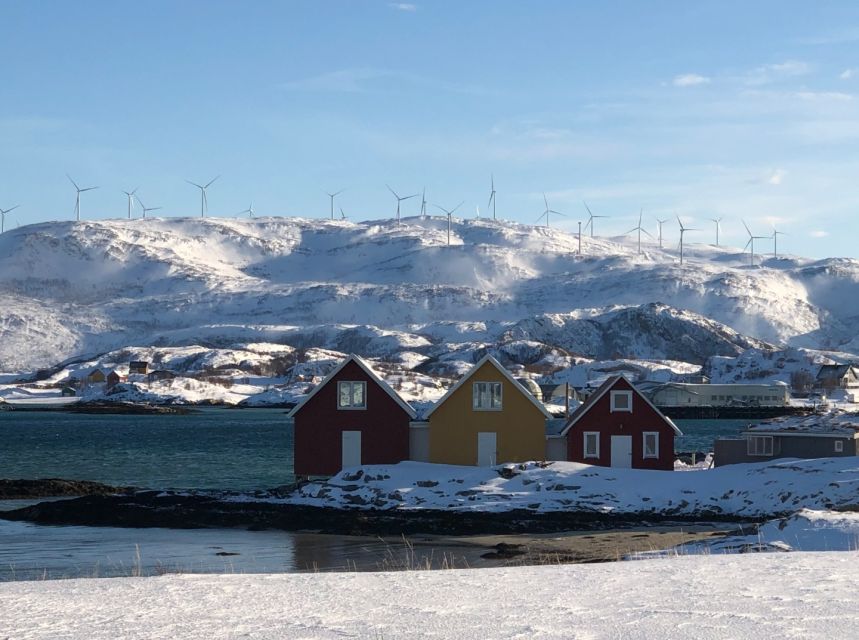 Tromsø: Fjords and Sommarøy Islands Tour with Salmon Picnic - The salmon picnic on the beach