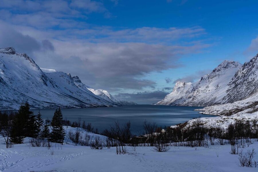 Tromsø: Fjords & Beaches Tour with Campfire and Arctic Food - Why the campfire makes this Tromsø tour different