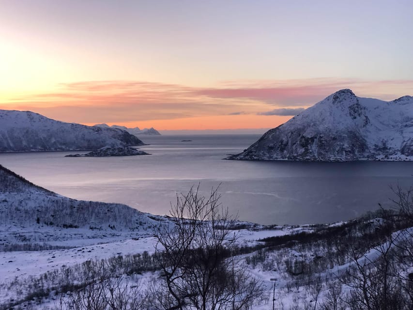 Tromsø: Fjords & Beaches Tour with Campfire and Arctic Food - A note about the reindeer sausage season