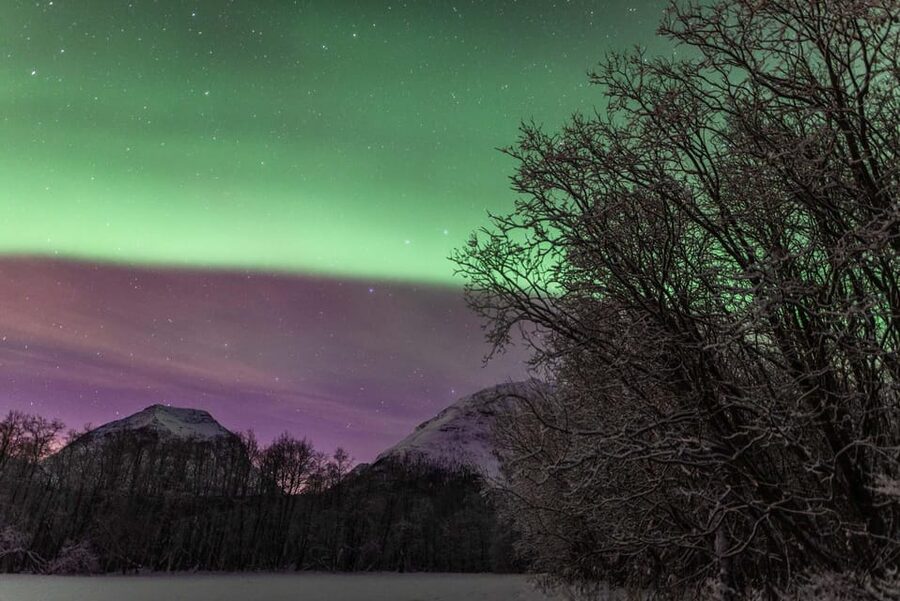 Tromsø: Fjords & Beaches Tour with Campfire and Arctic Food - The price and what you get for $304