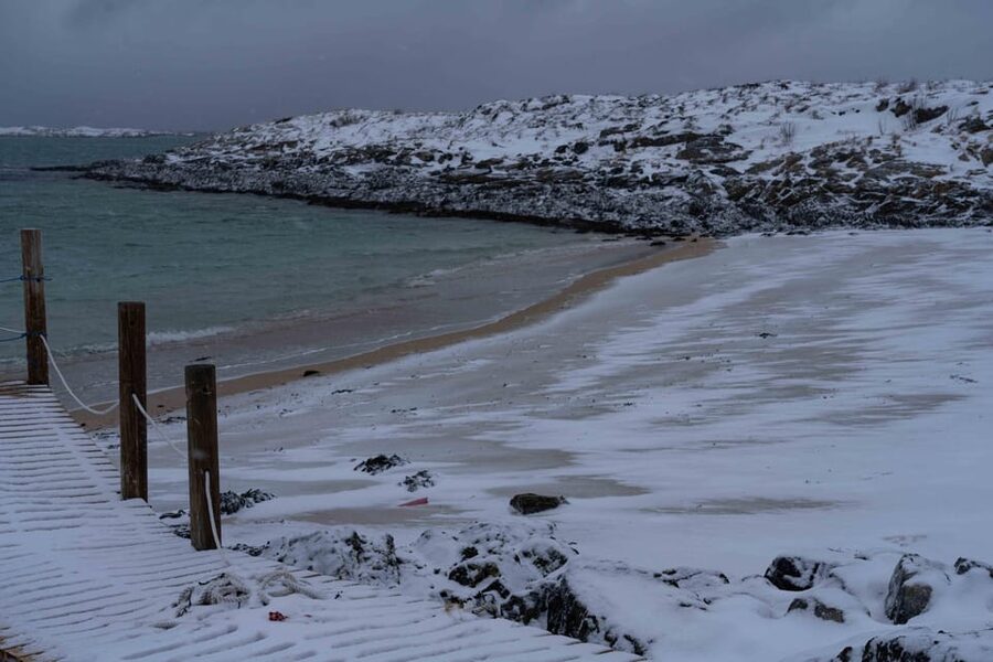 Tromsø: Fjords & Beaches Tour with Campfire and Arctic Food - Food details and the winter comfort factor