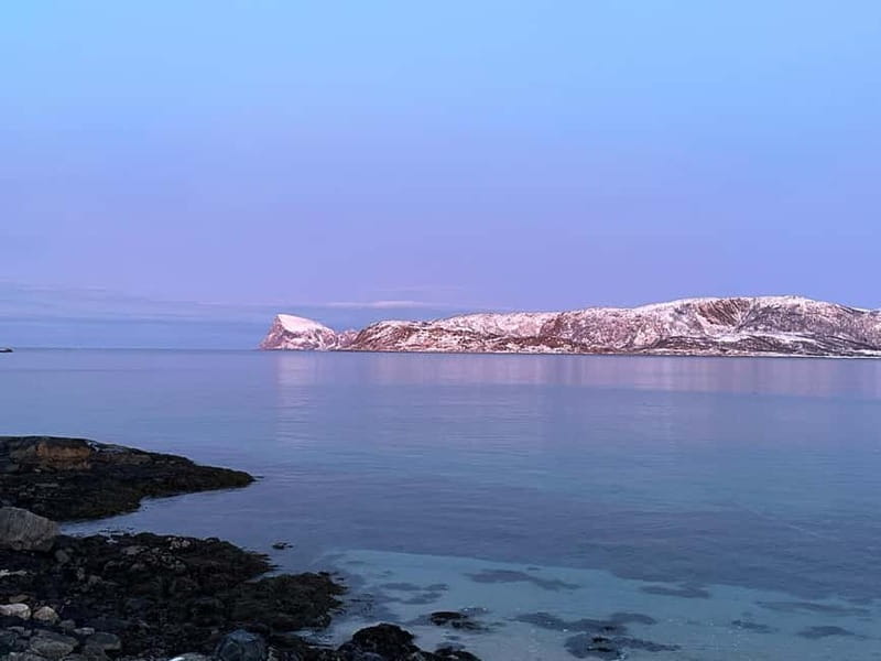 Tromsø: Fjords, Mountains and City Highlights Day Tour - Tromsø in three hours