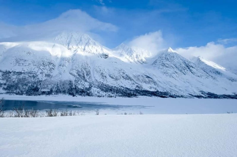 Tromsø: Fjords, Mountains and City Highlights Day Tour - What the guide adds
