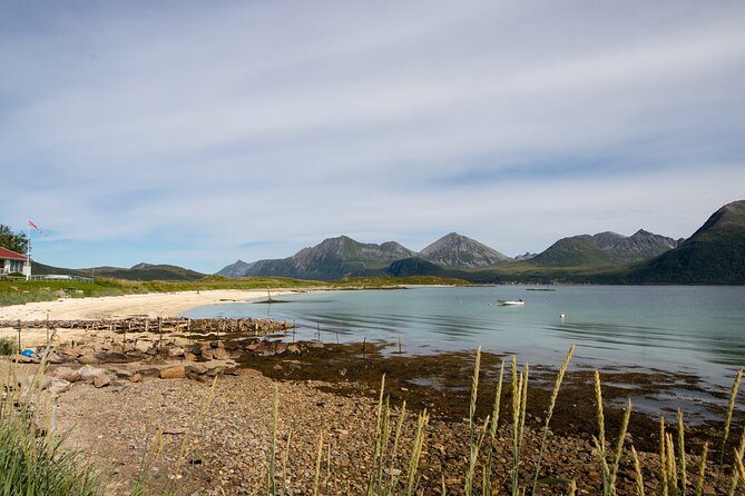 Tromso fjords road trip with fire in grill cabin by the beach. - Is $137.07 a fair price?