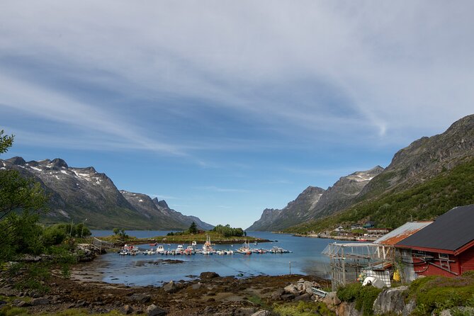 Tromso fjords road trip with fire in grill cabin by the beach. - Who will enjoy this Tromsø outing?