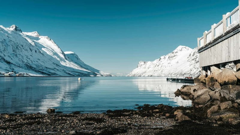 Tromsø: Fjords & Sommarøy Tour with Warm Local Lunch Option - Key points to know before booking