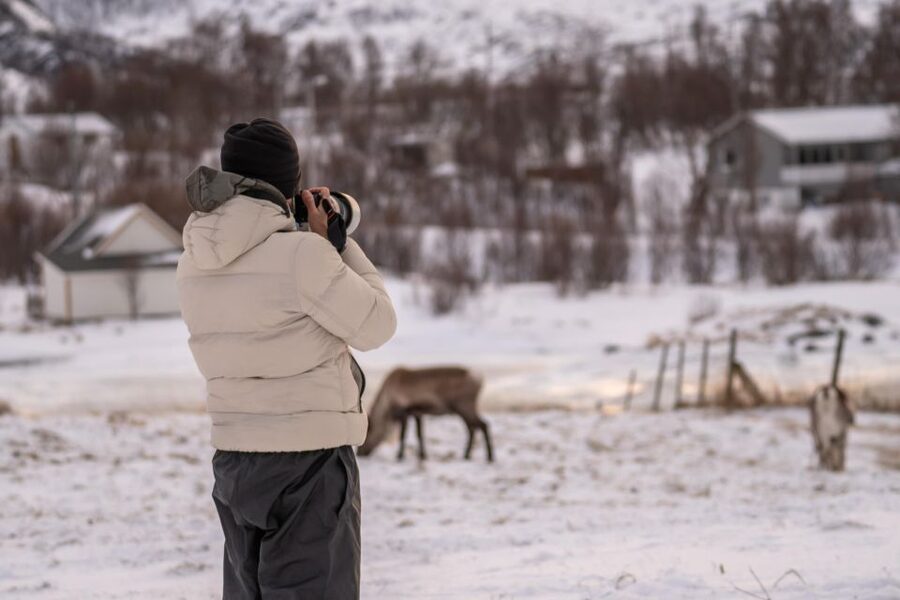 Tromsø: Fjords Tour - Ersfjordbotn and the first big views