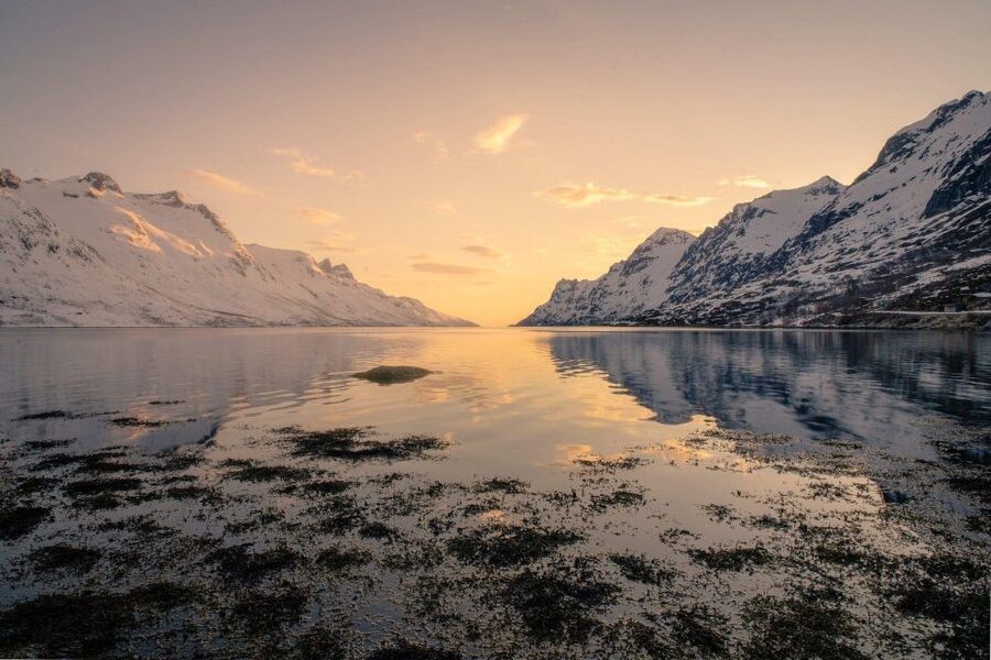 Tromsø: Fjords Tour - Beaches and clear Arctic water