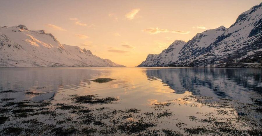Tromsø: Fjords Tour - The picnic break with hot chocolate and cookies