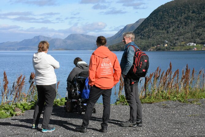 Tromsø Fjords Tour of Kvaloya and Sommaroy - Why this is a strong way to see Kvaløya