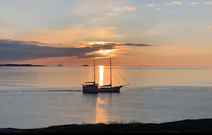 Tromsø: Guided Arctic Nature & Fjord Small Group Tour - Key points to know before you book