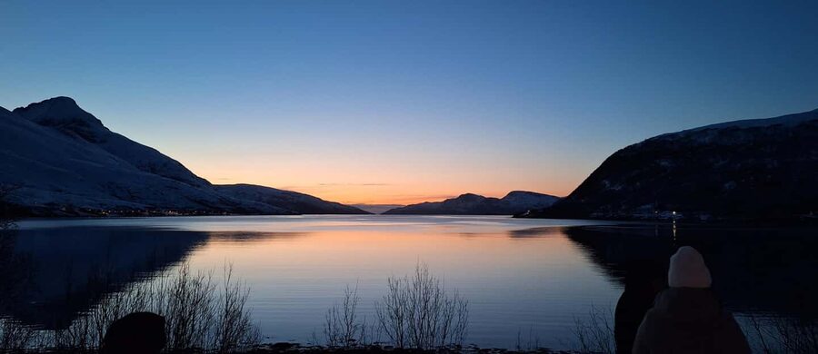 Tromsø: Guided Arctic Nature & Fjord Small Group Tour - Why this five-hour road trip works so well
