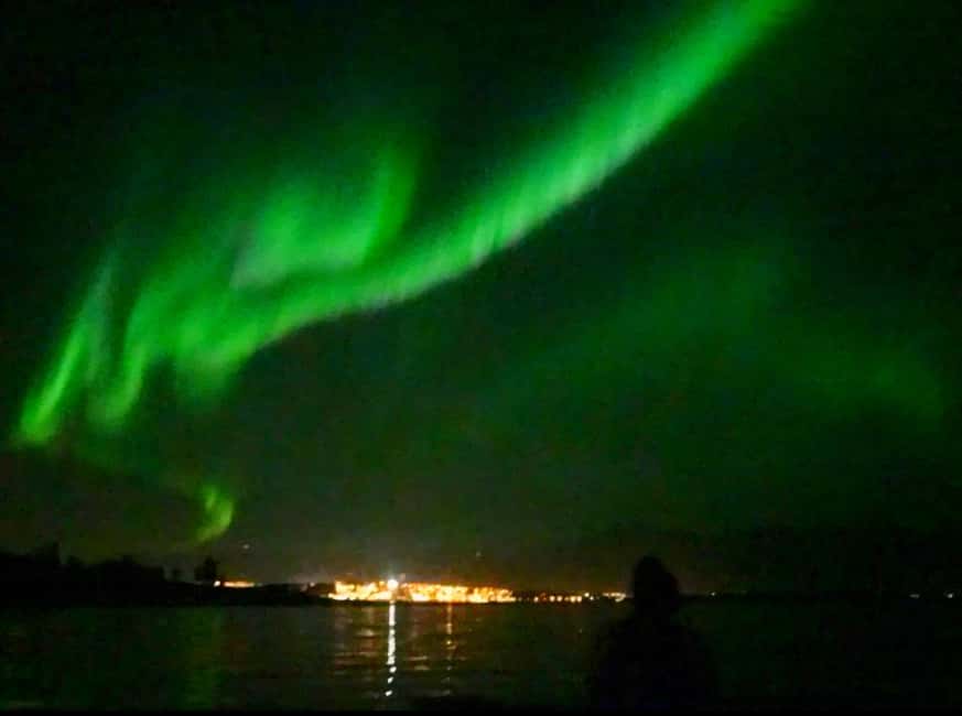 Tromsø: Guided Arctic Nature & Fjord Small Group Tour - Kaldfjord: the first taste of Arctic coast