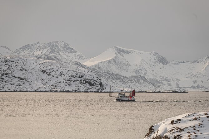 Tromsø: Kvaløya & Sommarøy Guided Fjord Tour with Lunch - Weather is part of the decision