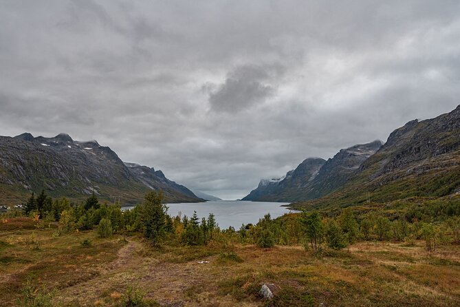 Tromsø: Kvaløya & Sommarøy Guided Fjord Tour with Lunch - Who will enjoy this tour most?