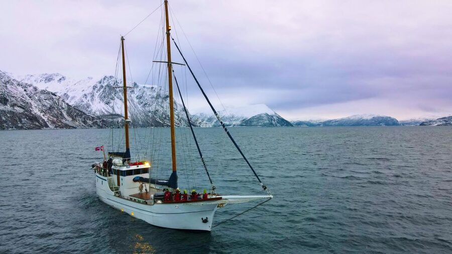 Tromsø: Luxury Polar Fjord Cruise w/ Hot Tub & Polar Plunge - Key points to know before you book