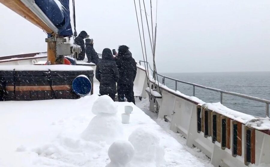 Tromsø: Luxury Polar Fjord Cruise w/ Hot Tub & Polar Plunge - The hot tub and polar plunge choice