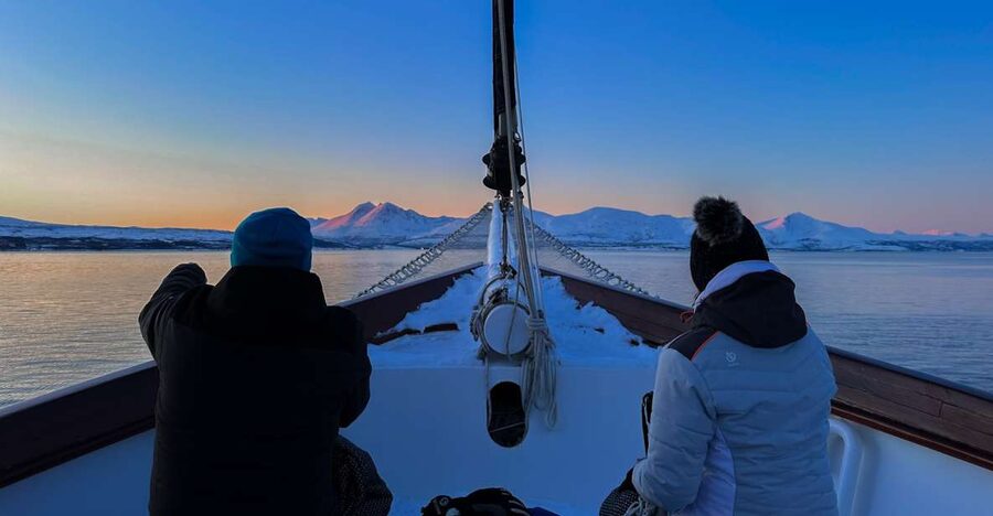 Tromsø: Luxury Polar Fjord Cruise w/ Hot Tub & Polar Plunge - Cruising the protected waters of Balsfjorden