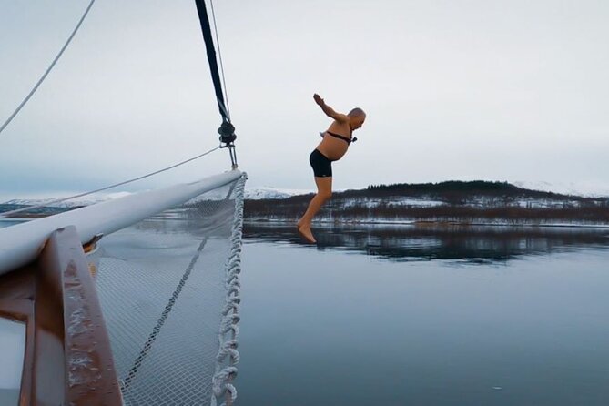 Tromso Luxury Sailing Yacht Polar Fjord Cruise with Lunch - What the yacht experience feels like