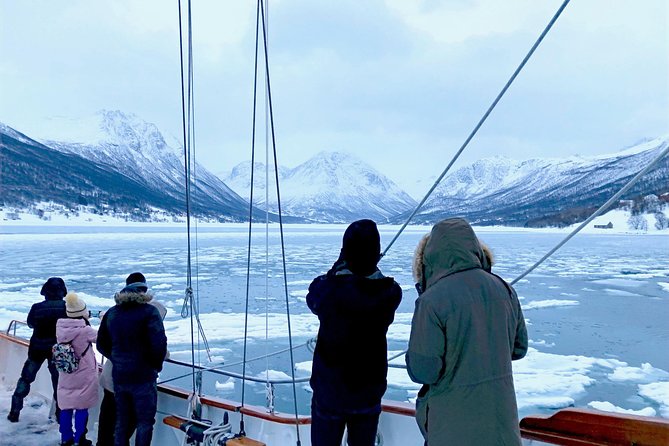 Tromso Luxury Sailing Yacht Polar Fjord Cruise with Lunch - How it compares with a bus trip around Tromsø