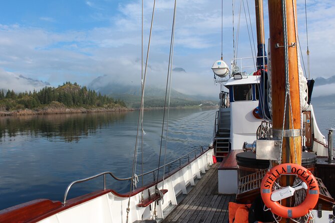 Tromsø Luxury Summer Fjord Cruise with Lunch - What the yacht experience adds