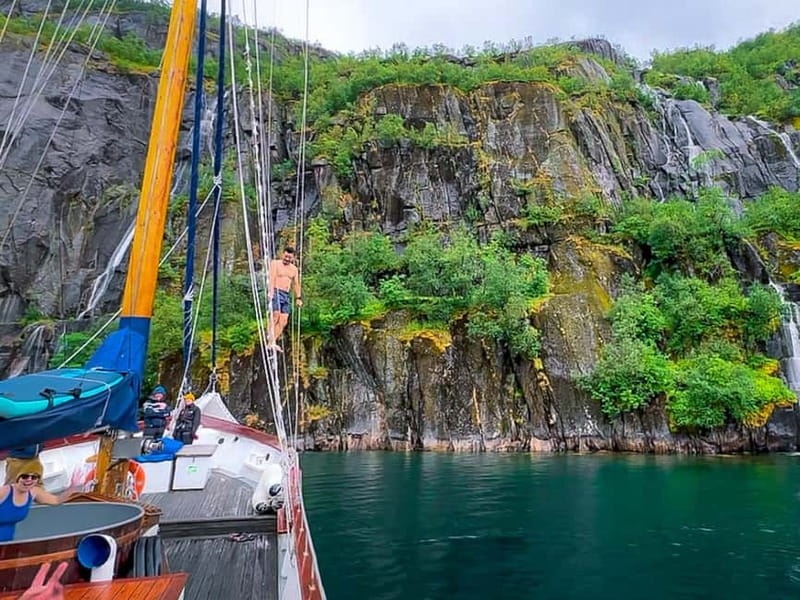 Tromsø: Luxury Summer Fjord Cruise with Lunch & Hot Tub - Wildlife spotting without the rush