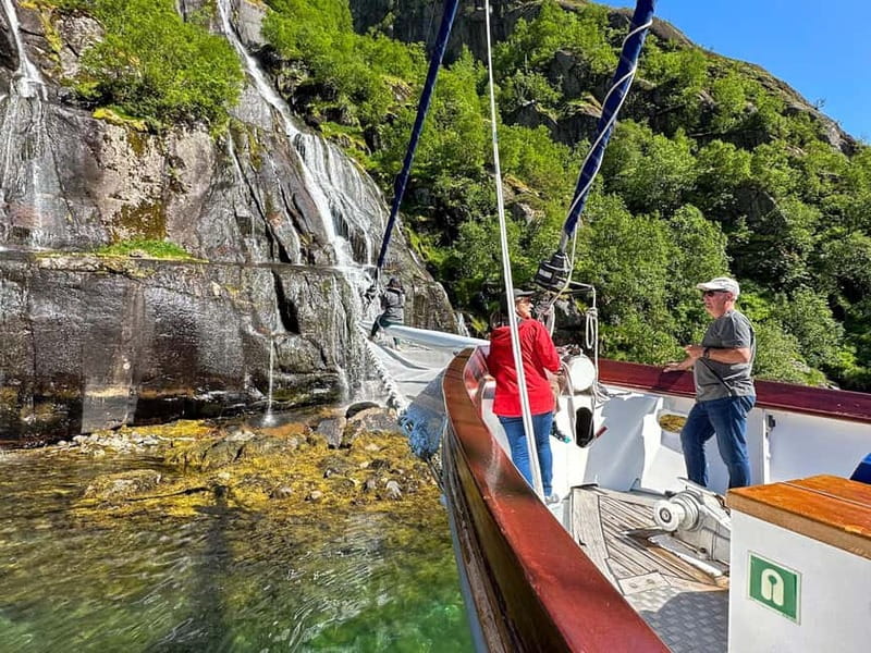 Tromsø: Luxury Summer Fjord Cruise with Lunch & Hot Tub - Who will enjoy Stella Oceana most