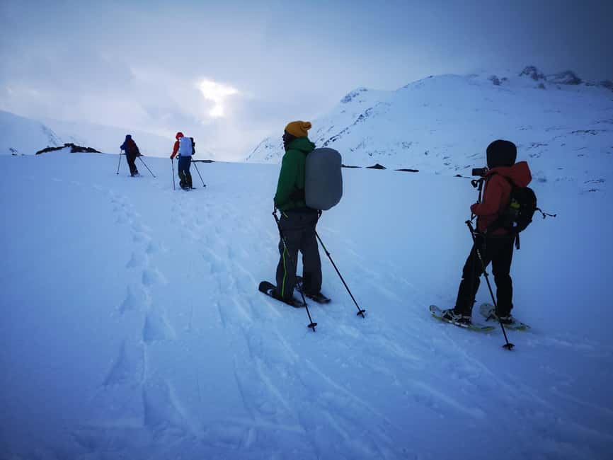 Tromsø: Midnight Fjord Tour - Key points to know before booking