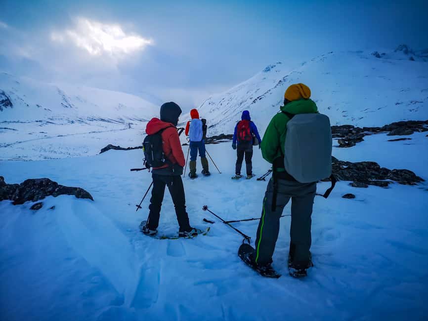 Tromsø: Midnight Fjord Tour - A short hike with wide Arctic views