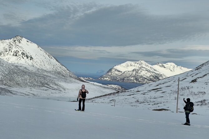 Tromsø Private Arctic Fjord Tour Cruise Excursion Free Pickup - Tromvik adds a short walk
